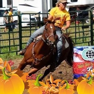 Meet your Posher, Terri